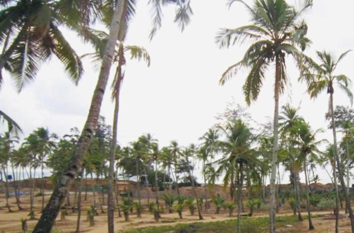 Samantha Inn Beach Resort Arambol Exterior photo